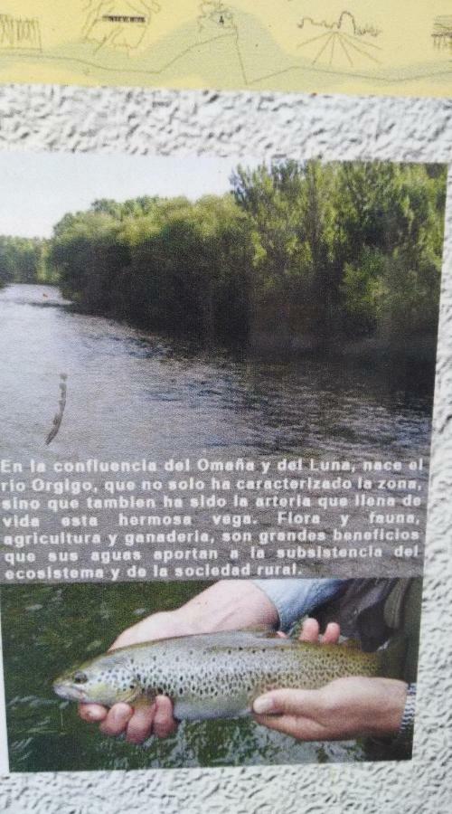 El Rinconcito De Llamas Llamas de la Ribera Kültér fotó